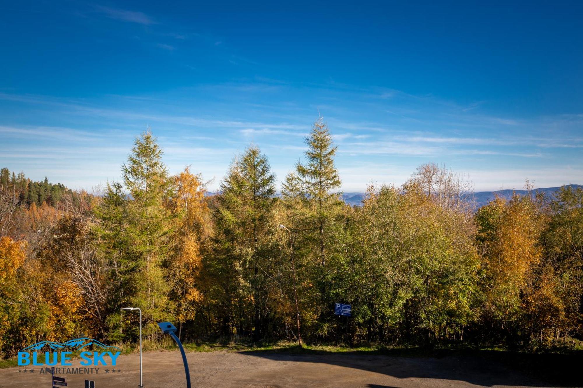Apartamenty Bluesky - Karkonoska 13, Z Widokiem Na Gory, Blisko Szlakow I Wyciagow, W Zielonej Okolicy คาร์ปัตซ์ ห้อง รูปภาพ